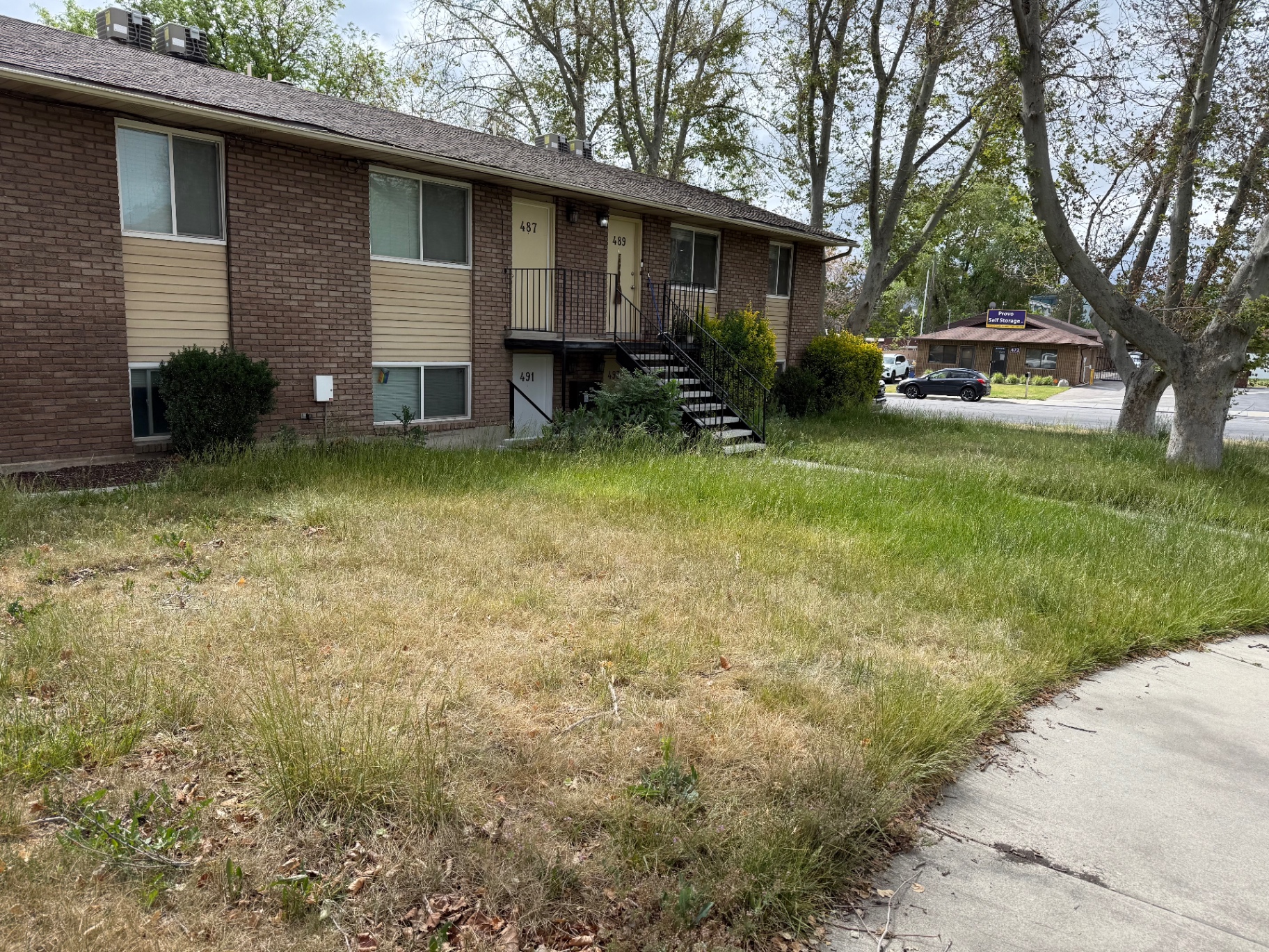Before — Overgrown · weedy · neglected