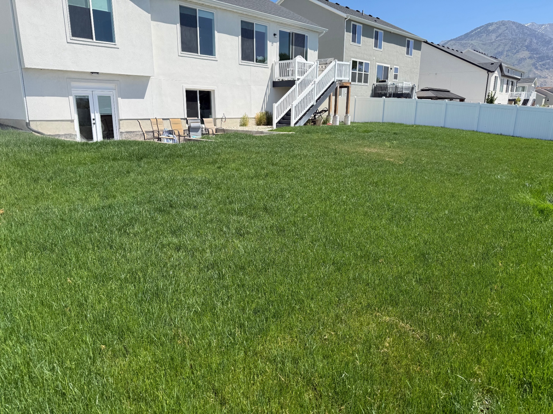 Before — Shaggy backyard · uneven finish