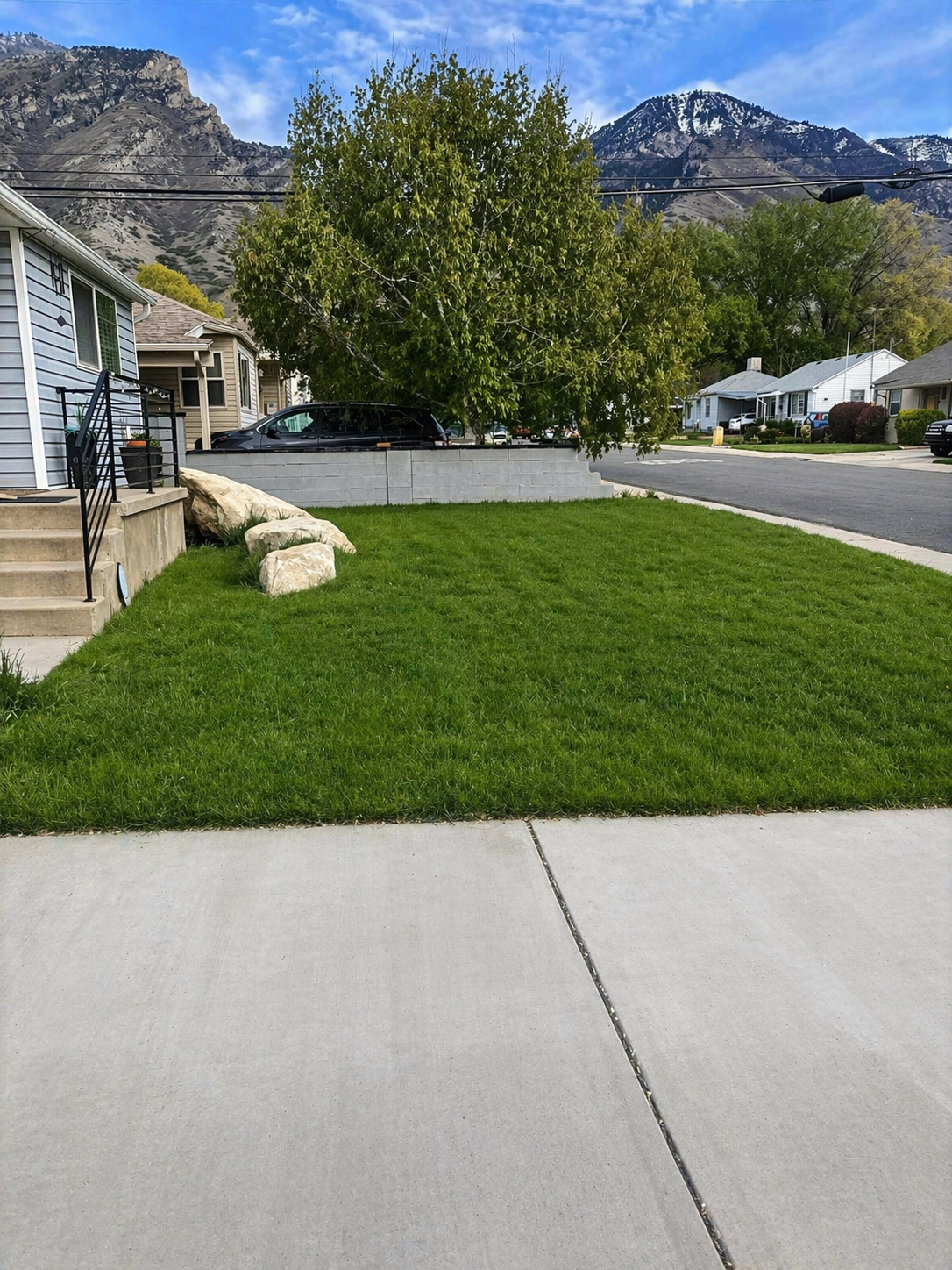 After — Sharp cut · clean edges · curb-ready